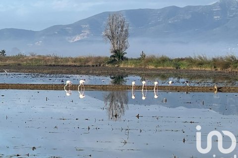 Talo myytävänä Amposta, Tarragona, Espanja, 2 makuuhuonetta, 140 m2 No. 153172 - kuva 18