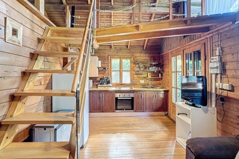 Terreno in vendita a Tarifa, Cadiz, Spagna 14 camere da letto, 5000 mq. N° 153964 - foto 22