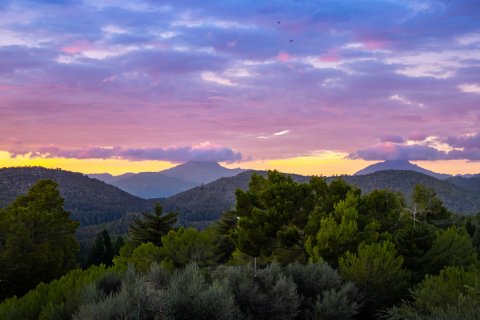 Villa in vendita a Calvia, Mallorca, Spagna 5 camere da letto, 686 mq. N° 140088 - foto 9