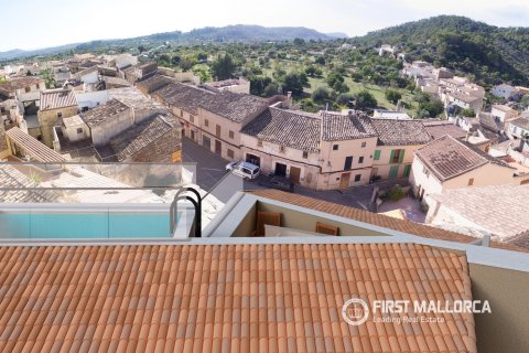Villetta a schiera in vendita a Caimari, Mallorca, Spagna 4 camere da letto, 206 mq. N° 193657 - foto 30