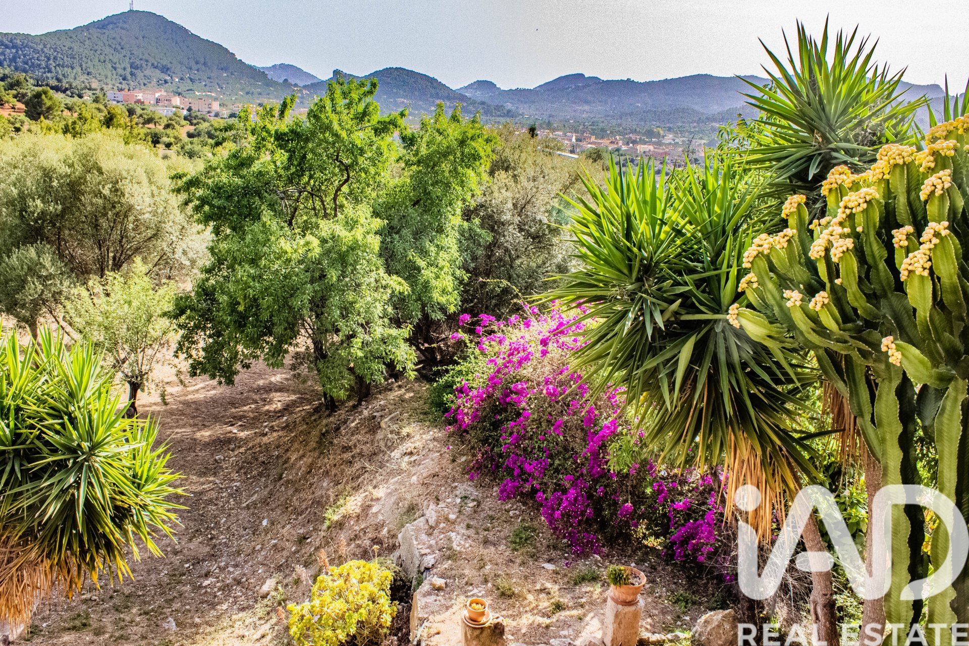 Talo Andratx, Mallorca, Espanja 2 makuuhuonetta, 265 m2 No. 172436