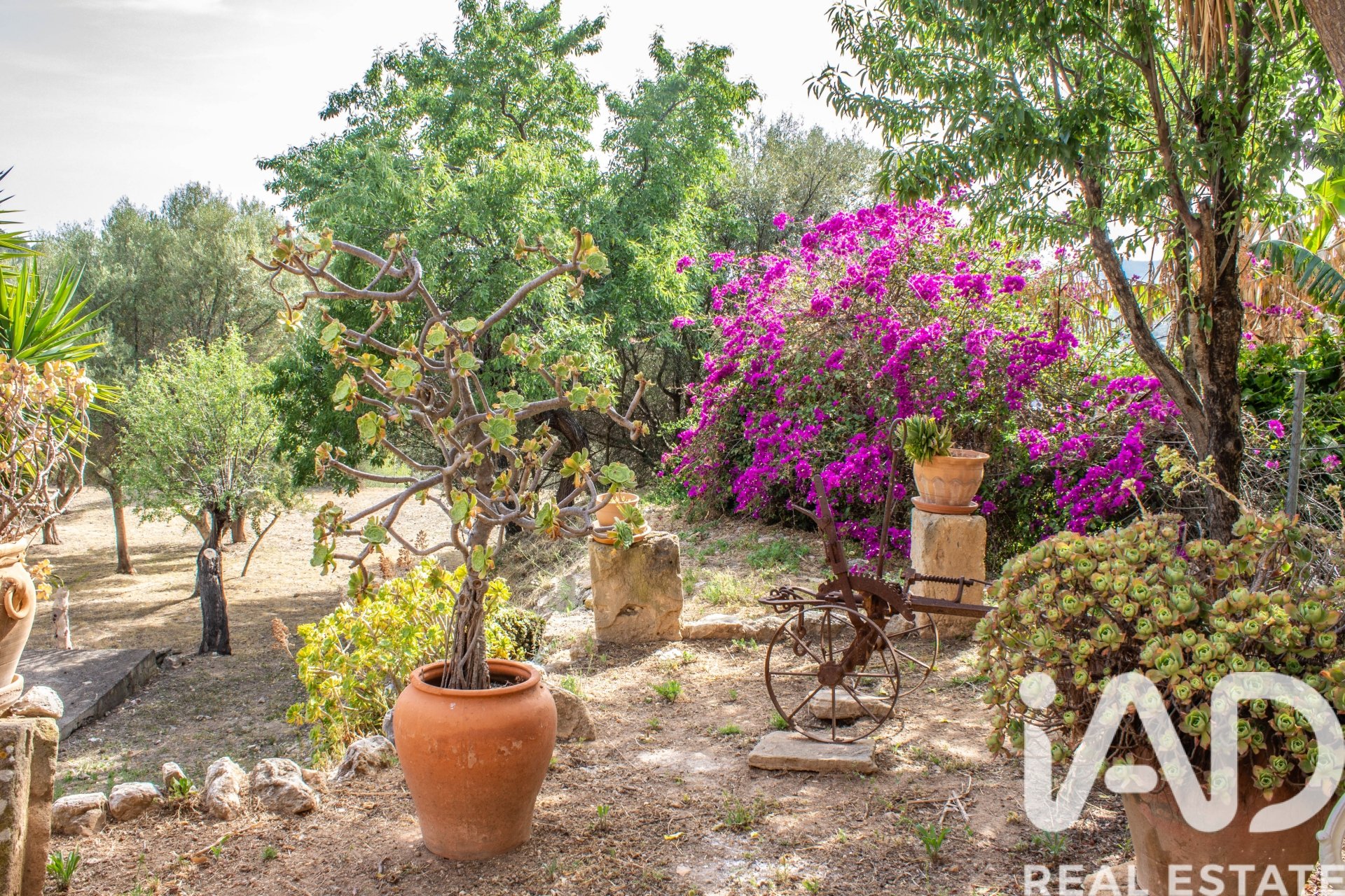 Talo Andratx, Mallorca, Espanja 2 makuuhuonetta, 265 m2 No. 172436