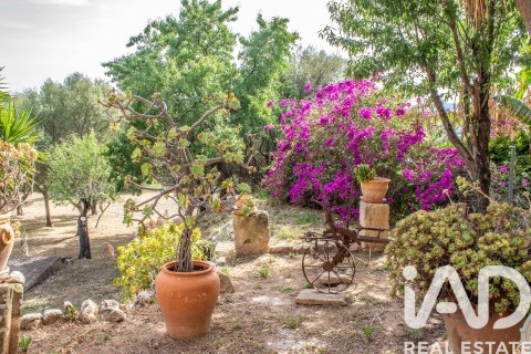 Hus till salu i Andratx, Mallorca, Spanien 2 sovrum, 265 kvm. Nr. 172436 - foto 14