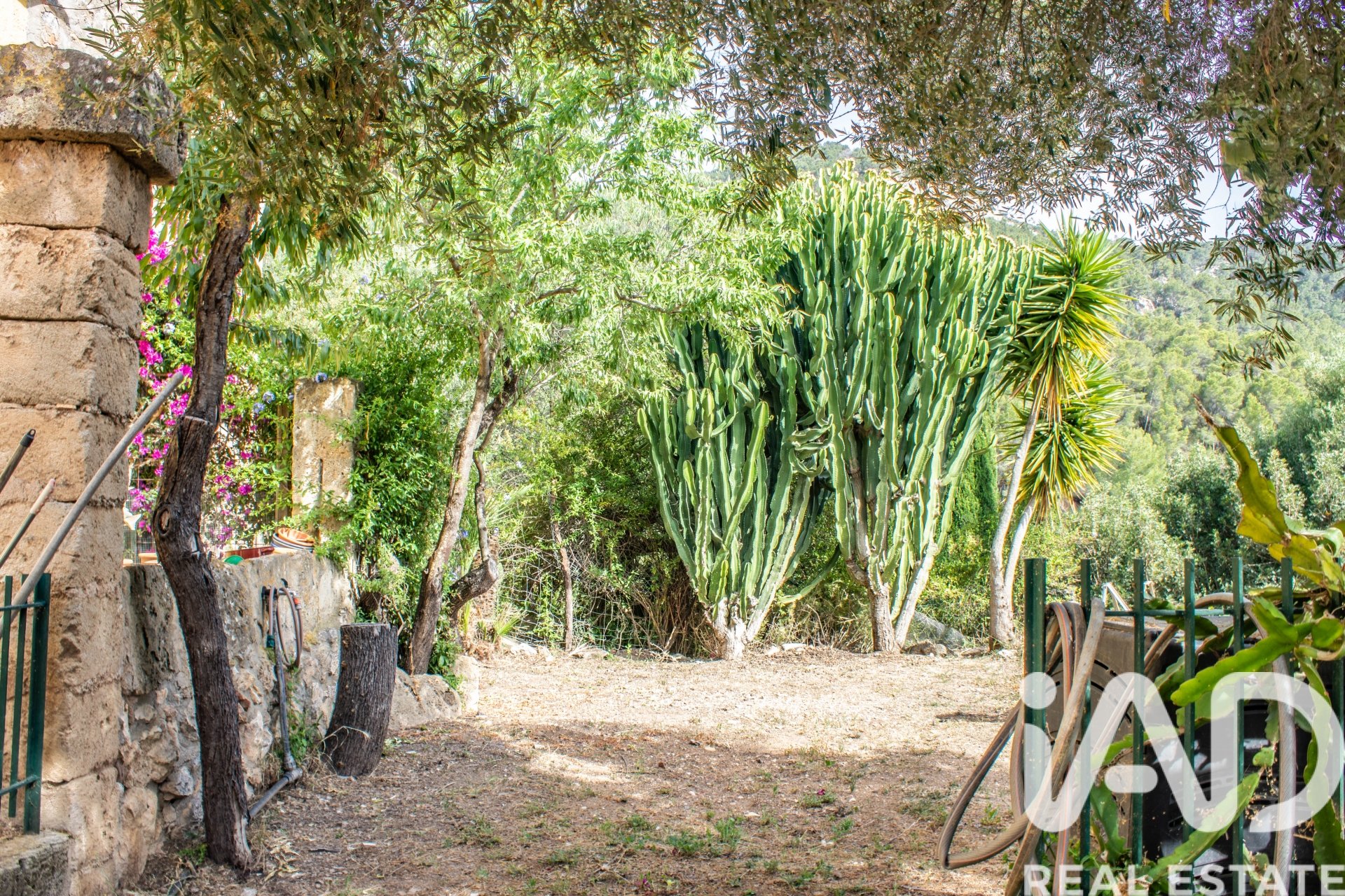 Talo Andratx, Mallorca, Espanja 2 makuuhuonetta, 265 m2 No. 172436
