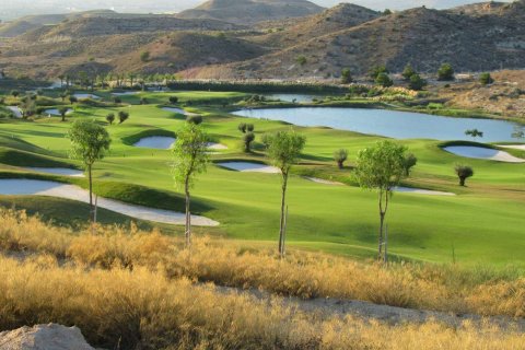 Apartment à vendre à Monforte del Cid, Alicante, Espagne, 3 chambres, 135 m2 No. 143132 - photo 10