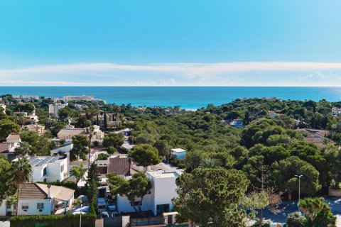 Apartamento en venta en Dehesa De Campoamor, Alicante, España 2 dormitorios, 95 m2 No. 190330 - foto 11