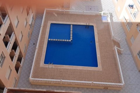 Продажа квартиры в Торревьеха, Аликанте, Испания 2 спальни, 65м2 №183838 - фото 3