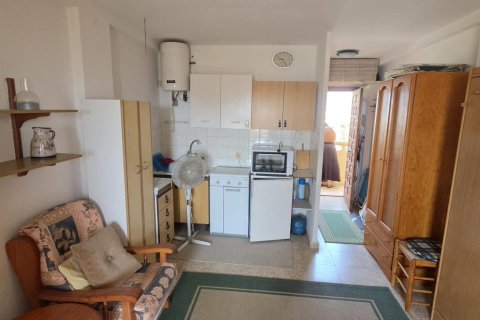 Продажа квартиры в Торребланка, Кастельон, Испания 26м2 №192256 - фото 5