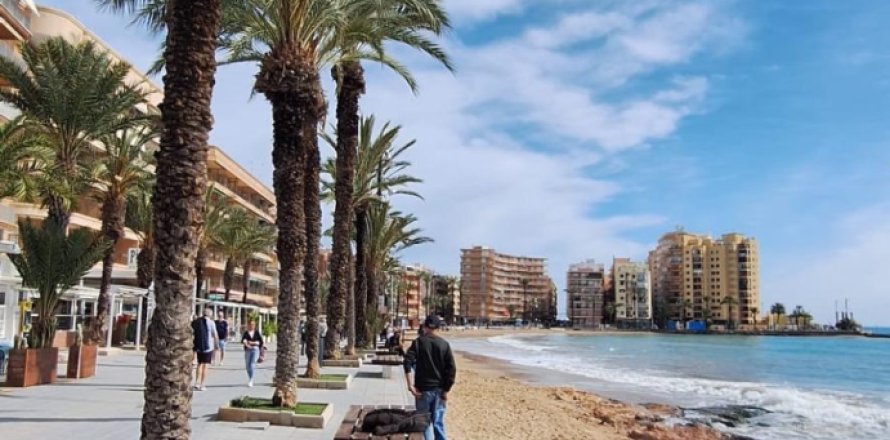 Wohnung in Torrevieja, Alicante, Spanien 1 Schlafzimmer, 95 m2 Nr. 165962