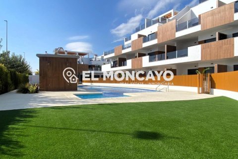 Bungalo pārdošanā Pilar de la Horadada, Alicante, Spānijā 2 istabas, 123 m2 Nr. 148958 - attēls 10