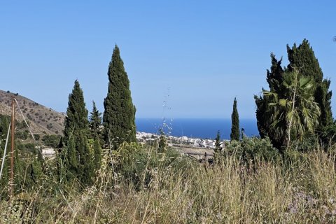 Land zum Verkauf in Frigiliana, Malaga, Spanien 2205 m2 Nr. 172292 - Foto 7