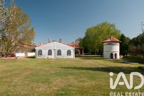 Land zum Verkauf in Camarma de Esteruelas, Madrid, Spanien 9970 m2 Nr. 172206 - Foto 4