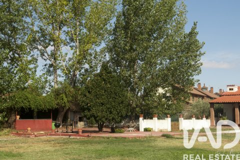 Land zum Verkauf in Camarma de Esteruelas, Madrid, Spanien 9970 m2 Nr. 172206 - Foto 24