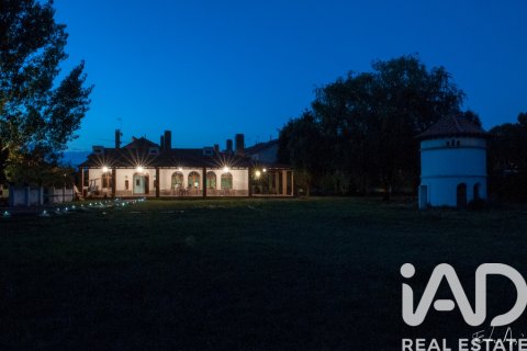 Land plot à Camarma de Esteruelas, Madrid, Espagne 9970 m2 No. 172206