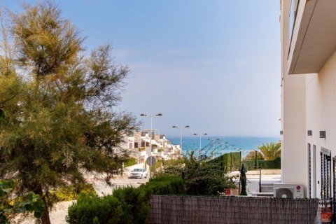 Apartment for sale in La Mata, Alicante, Spain 2 bedrooms, 59 sq.m. No. 146108 - photo 2