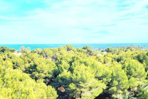 Apartment for sale in Dehesa De Campoamor, Alicante, Spain 3 bedrooms, 108 sq.m. No. 146111 - photo 30