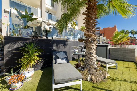 Apartament Villamartin, Alicante, Hiszpania 2 sypialnie, 63 mkw. nr 118986 – zdjęcie 23