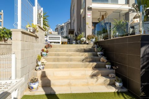 Apartament Villamartin, Alicante, Hiszpania 2 sypialnie, 63 mkw. nr 118986 – zdjęcie 21