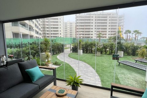 Apartament Punta Prima, Alicante, Hiszpania 3 sypialnie, 109 mkw. nr 119254 – zdjęcie 20