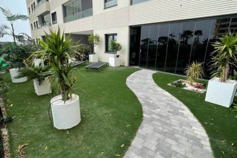 Apartament Punta Prima, Alicante, Hiszpania 3 sypialnie, 109 mkw. nr 119254 – zdjęcie 1