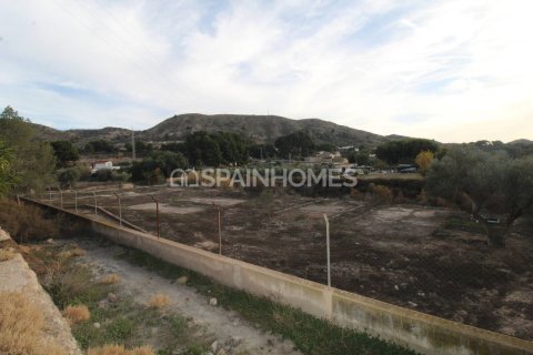 Villa pārdošanā Elda, Alicante, Spānijā 13 istabas, 1806 m2 Nr. 193713 - attēls 17