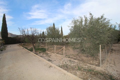 Villa pārdošanā Elda, Alicante, Spānijā 13 istabas, 1806 m2 Nr. 193713 - attēls 18