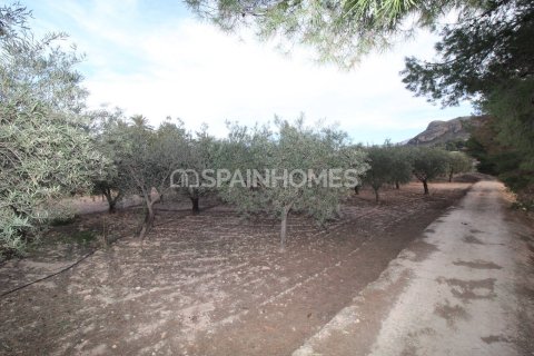 Villa pārdošanā Elda, Alicante, Spānijā 13 istabas, 1806 m2 Nr. 193713 - attēls 16