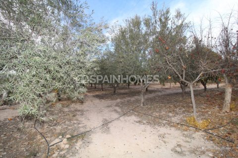 Villa pārdošanā Elda, Alicante, Spānijā 13 istabas, 1806 m2 Nr. 193713 - attēls 19