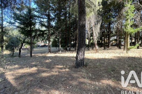 Land plot à vendre à Robledo de Chavela, Madrid, Espagne, 3000 m2 No. 172524 - photo 3