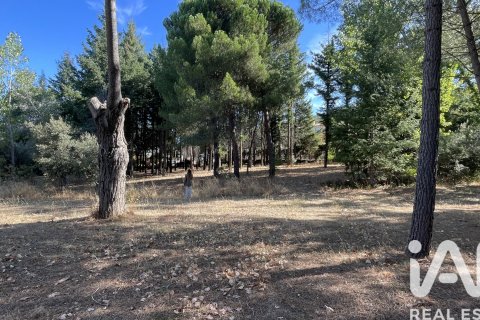 Land plot à vendre à Robledo de Chavela, Madrid, Espagne, 3000 m2 No. 172524 - photo 2