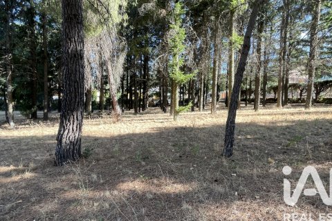 Land plot à vendre à Robledo de Chavela, Madrid, Espagne, 3000 m2 No. 172524 - photo 5