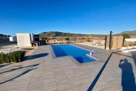 Villa en venta Hondón de los Frailes, Alicante, España 3 dormitorios, 153 m2 No. 136614 - foto 24
