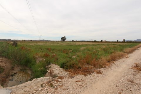 Parcela en venta en San Fulgencio, Alicante, España No. 183925 - foto 2