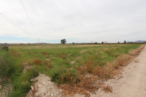 Terreno a San Fulgencio, Alicante, Spagna N° 183925