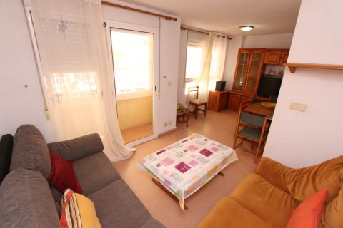Retail store for sale in Guardamar del Segura, Alicante, Spain 1 bedroom, 50 sq.m. No. 183922 - photo 2