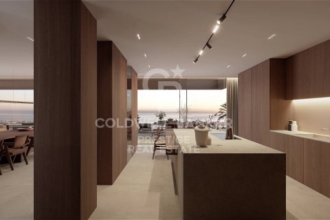 House zum Verkauf in Sant Andreu de Llavaneres, Barcelona, Spanien 6 Schlafzimmer, 653 m2 Nr. 160006 - Foto 3