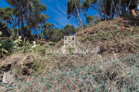 Terreno in vendita a Platja D'aro, Girona, Spagna 5259 mq. N° 176671 - foto 4