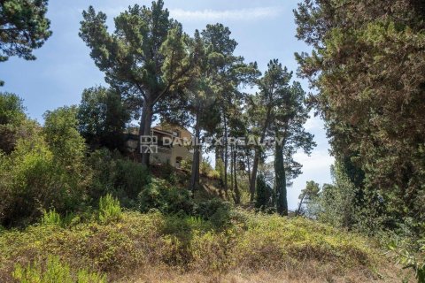 Willa w Lloret de Mar, Girona, Hiszpania 8 sypialni, 900 mkw. nr 176672 – zdjęcie 9