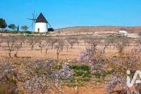 House à vendre à Nijar, Almeria, Espagne, 4 chambres, 166 m2 No. 152362 - photo 1