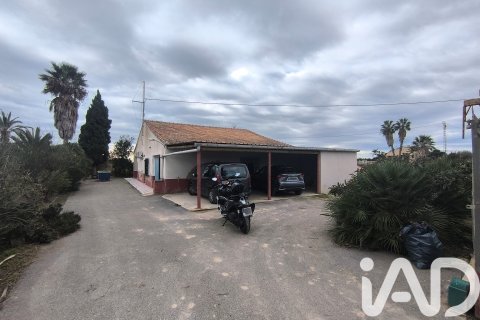 Māja pārdošanā Elche, Alicante, Spānijā 4 istabas, 237 m2 Nr. 152361 - attēls 16