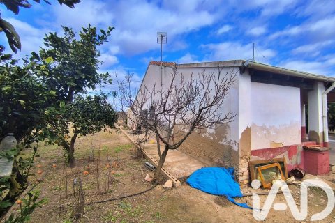 Māja pārdošanā Elche, Alicante, Spānijā 4 istabas, 237 m2 Nr. 152361 - attēls 4