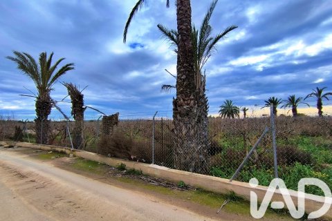 Māja pārdošanā Elche, Alicante, Spānijā 4 istabas, 237 m2 Nr. 152361 - attēls 22