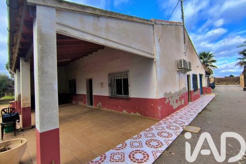 Māja pārdošanā Elche, Alicante, Spānijā 4 istabas, 237 m2 Nr. 152361 - attēls 2