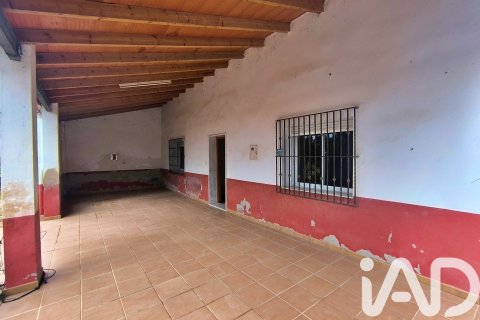 Māja pārdošanā Elche, Alicante, Spānijā 4 istabas, 237 m2 Nr. 152361 - attēls 3