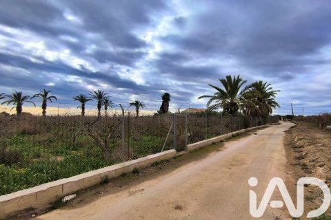 Māja pārdošanā Elche, Alicante, Spānijā 4 istabas, 237 m2 Nr. 152361 - attēls 23