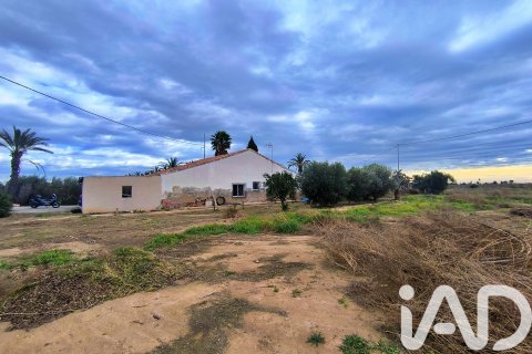 Māja pārdošanā Elche, Alicante, Spānijā 4 istabas, 237 m2 Nr. 152361 - attēls 21