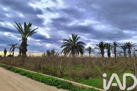 Māja pārdošanā Elche, Alicante, Spānijā 4 istabas, 237 m2 Nr. 152361 - attēls 27