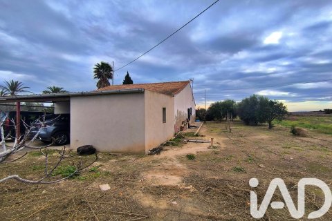 Māja pārdošanā Elche, Alicante, Spānijā 4 istabas, 237 m2 Nr. 152361 - attēls 18