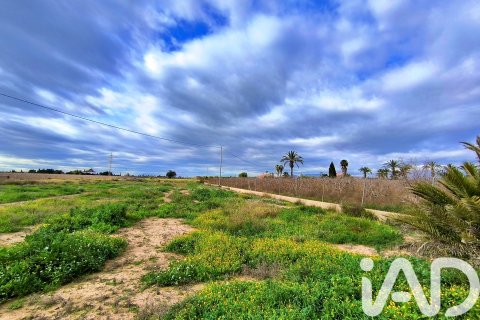 Māja pārdošanā Elche, Alicante, Spānijā 4 istabas, 237 m2 Nr. 152361 - attēls 28