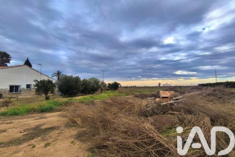 Māja pārdošanā Elche, Alicante, Spānijā 4 istabas, 237 m2 Nr. 152361 - attēls 25